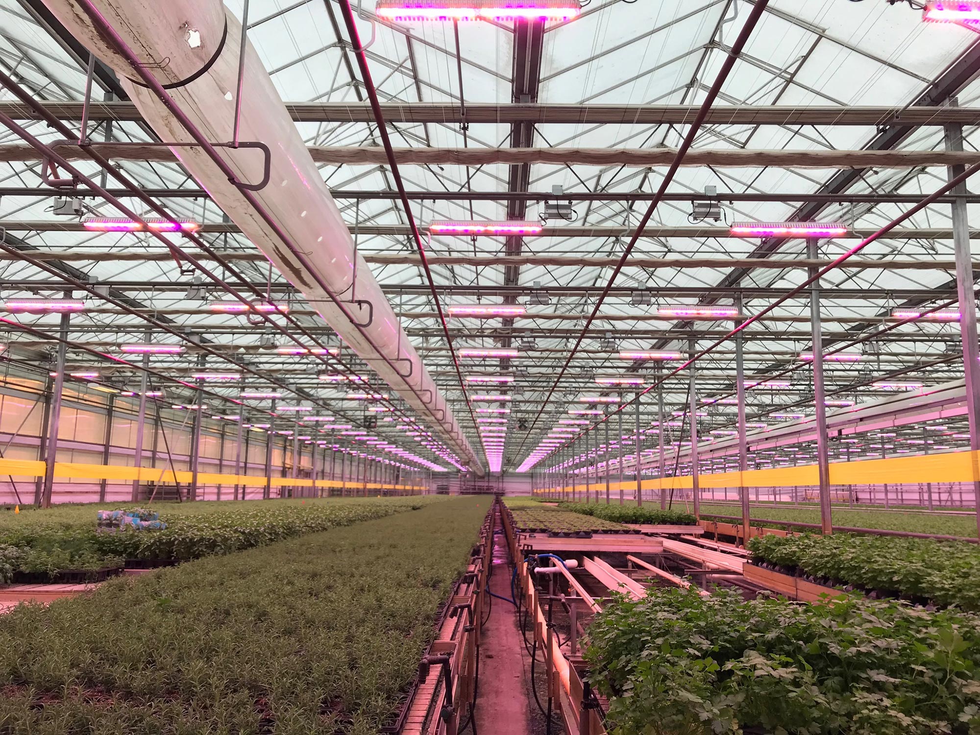 In honor of Earth Month, we spotlighted how sustainable lighting plays a key role in creating spaces that are functional and innovative! Let's learn about four companies driving meaningful change in the lighting industry!