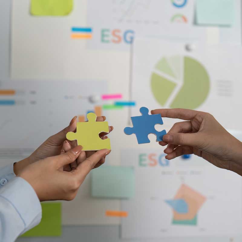 Design Assist & Strategy image